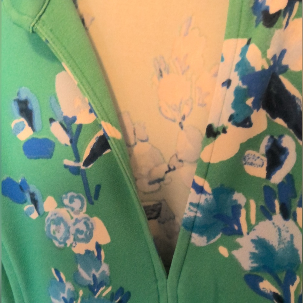 NWT Danny & Nicole Green & Blue Floral Collared V-Neck Belted Dress 18 - Picture 4 of 14